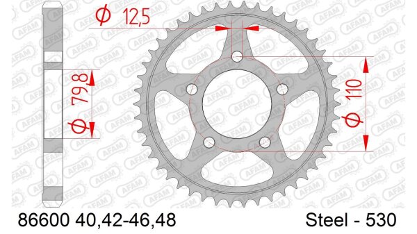 DC AFAM Stahl-Kettenrad 530 - 46Z (Silber) 86600-46| ID 79,8 LK 110 5-Loch