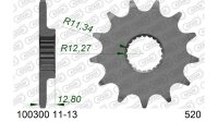 DC AFAM Ritzel 520 - 13Z 100300-13