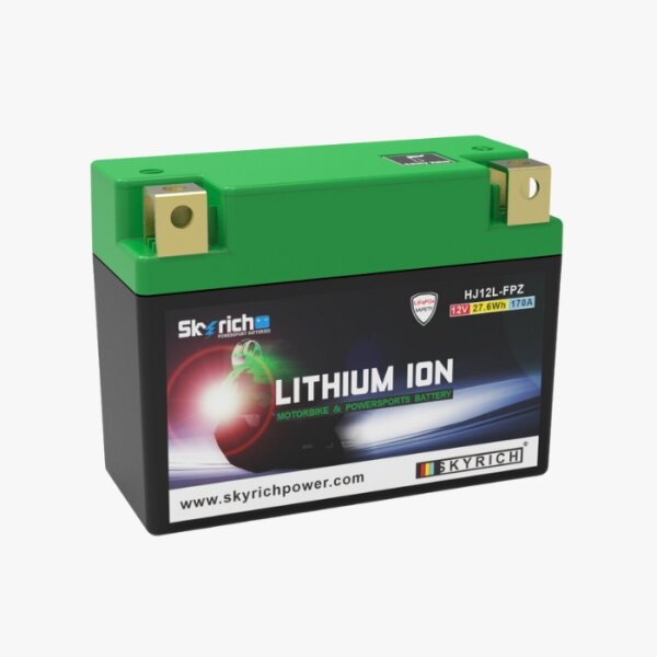 Batterie | SKYRICH | HJ12L-FPZ | LITHIUM-IONEN