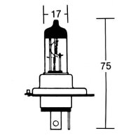 SHIN YO HS1 Glühlampe 12V 35/35W PX43t