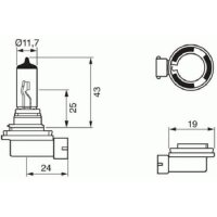 SHIN YO H11 Glühlampe 12V 55W PGL 19-2