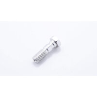 LSL Aluminium double banjo bolt M10x1.25, silver