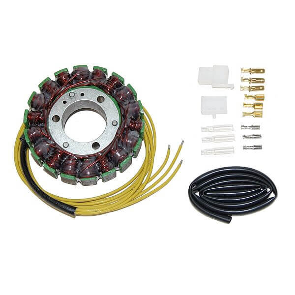 ElectroSport Stator ESG030 Lichtmaschine