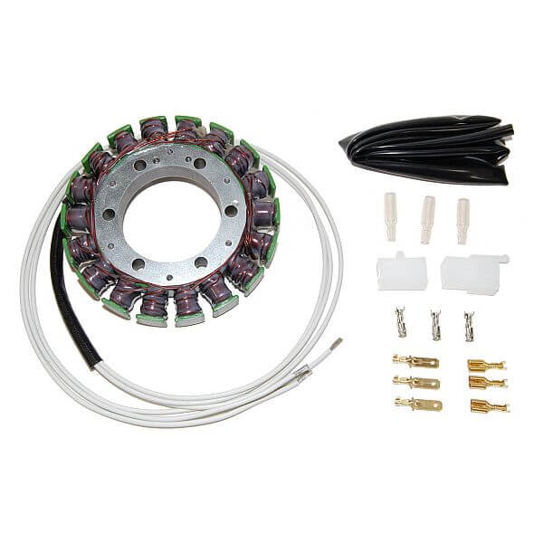 ElectroSport Stator ESG09 für Lichtmaschine