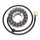 ElectroSport Stator ESG31 for alternator