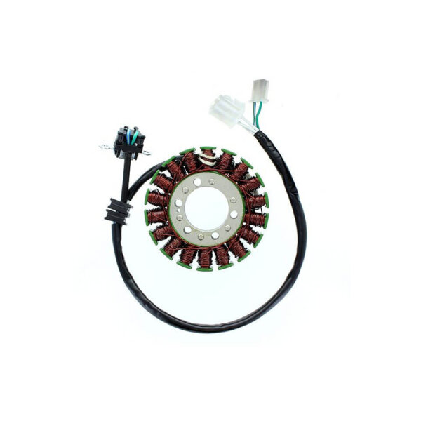 ElectroSport Stator ESG041 Lichtmaschine