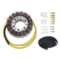 ElectroSport Stator ESG520 Lichtmaschine