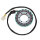 ElectroSport Stator ESG71 for alternator