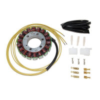 ElectroSport Stator ESG73 Lichtmaschine