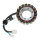 ElectroSport Stator ESG076 Lichtmaschine