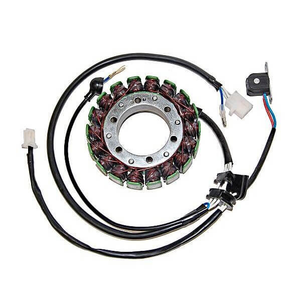 ElectroSport Stator ESG079 für Lichtmaschine