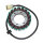 ElectroSport Stator ESG094 Lichtmaschine