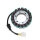 ElectroSport Stator ESG099 Lichtmaschine