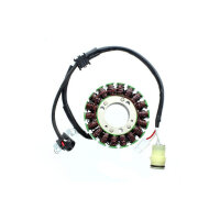 ElectroSport Stator ESG109 Lichtmaschine