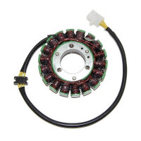 ElectroSport Stator ESG110 for alternator