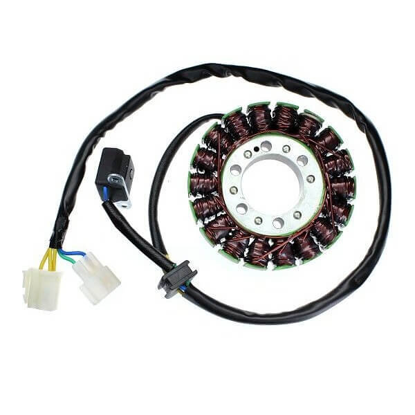 ElectroSport Stator ESG112 Lichtmaschine