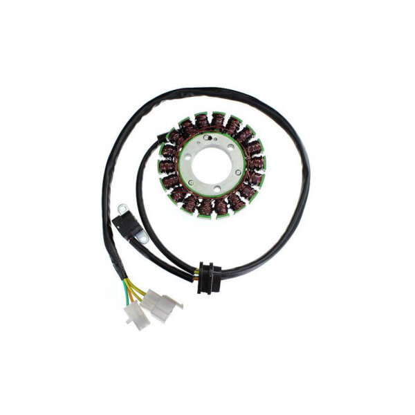 ElectroSport Stator ESG017 for alternator