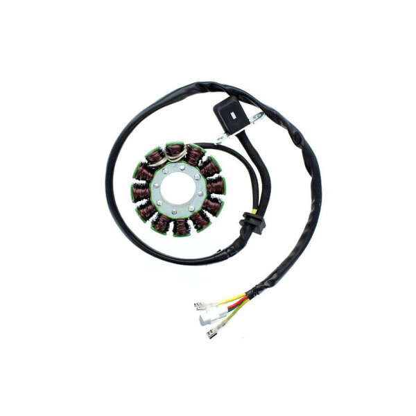 ElectroSport Stator ESG169 for alternator