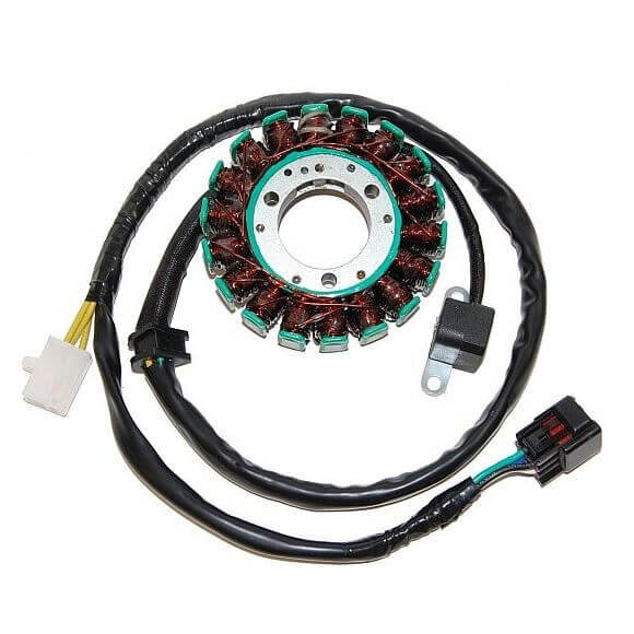 ElectroSport Stator ESG180 Lichtmaschine