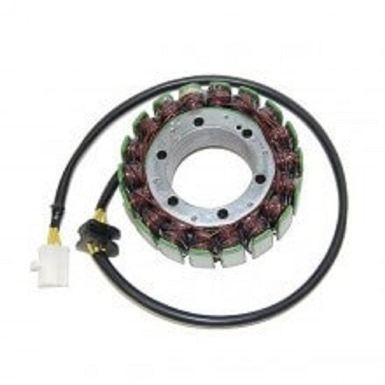 ElectroSport Stator ESG089 Lichtmaschine