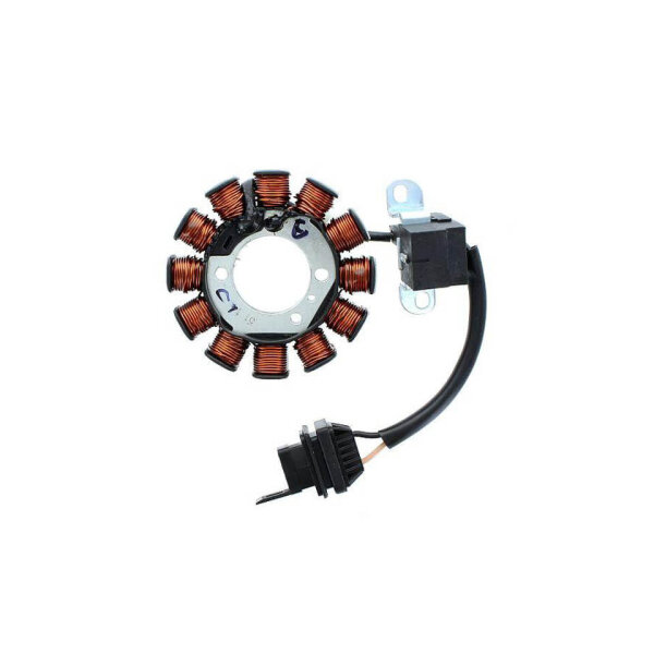 ElectroSport Stator ESG192 Lichtmaschine