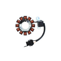 ElectroSport Stator ESG192 for alternator