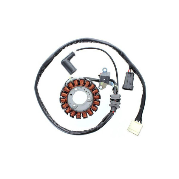 ElectroSport Stator ESG199 for alternator