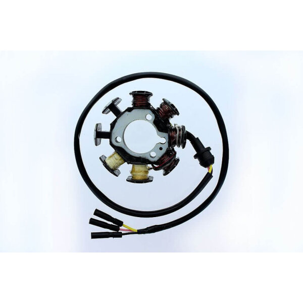 ElectroSport Stator ESG212 for alternator