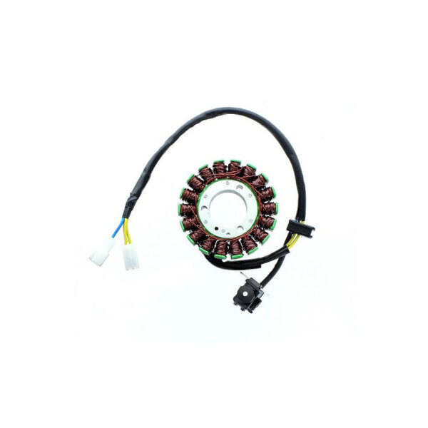 ElectroSport Stator ESG218 for alternator