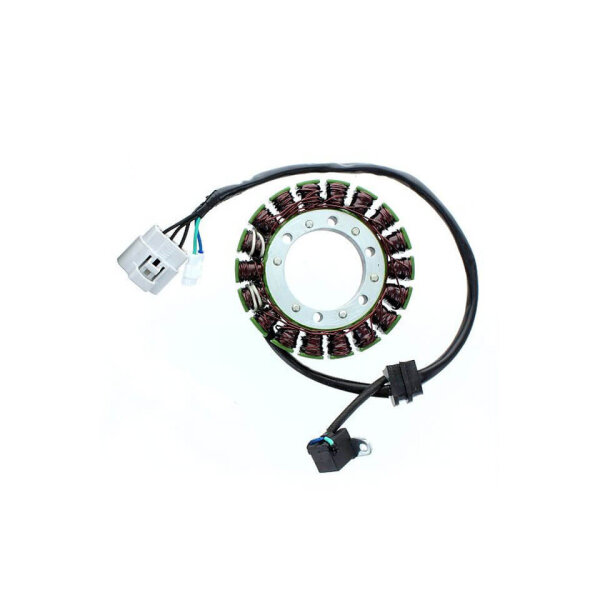 ElectroSport Stator ESG307 Lichtmaschine