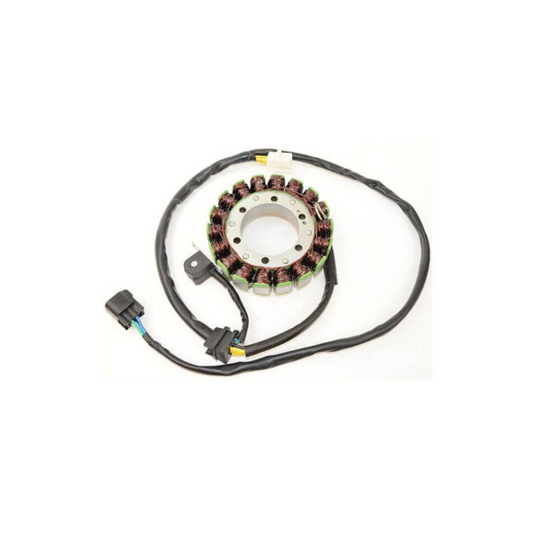 ElectroSport Stator ESG309 Lichtmaschine