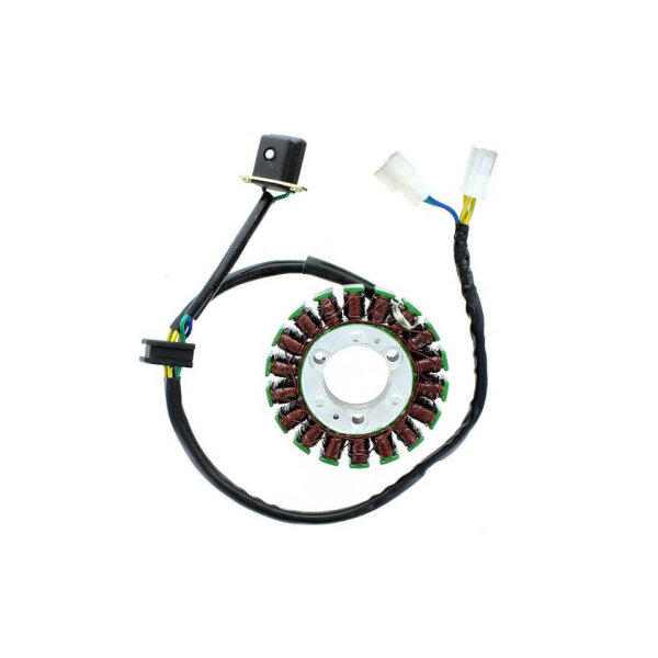 ElectroSport Stator ESG368 for alternator