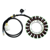 ElectroSport Stator ESG371 Lichtmaschine