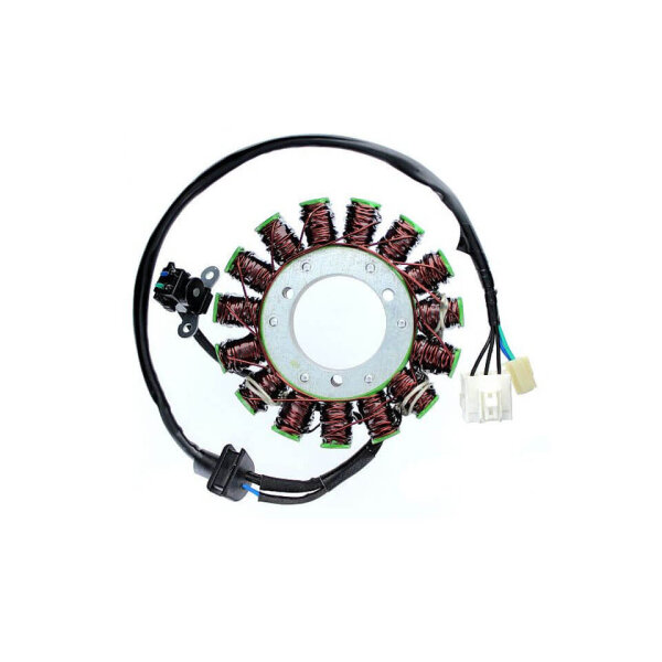 ElectroSport Stator ESG381 Lichtmaschine