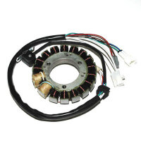 ElectroSport Stator ESG434 Lichtmaschine