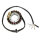 ElectroSport Stator ESG443 for alternator