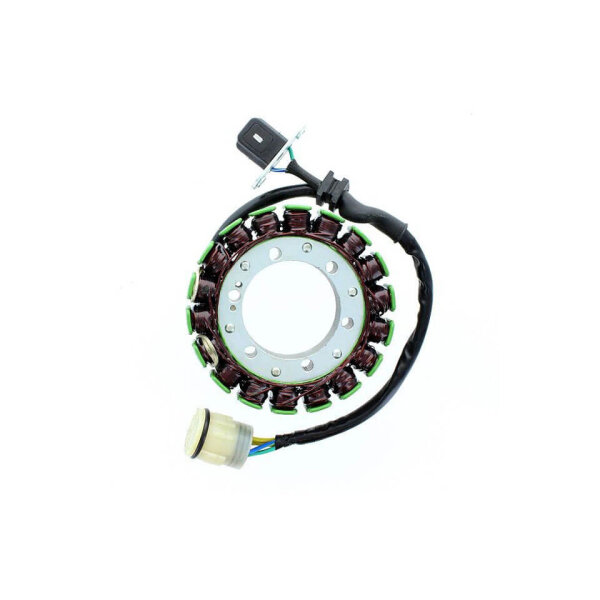 ElectroSport Stator ESG476 Lichtmaschine