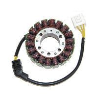 ElectroSport Stator ESG523 Lichtmaschine