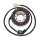 ElectroSport Stator ESG525 for alternator