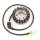 ElectroSport Stator ESG531 Lichtmaschine