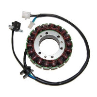 ElectroSport Stator ESG562 Lichtmaschine