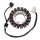 ElectroSport Stator ESG610 for alternator