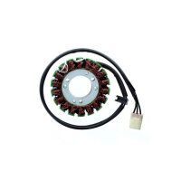 ElectroSport Stator ESG617 Lichtmaschine