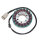 ElectroSport Stator ESG636 Lichtmaschine