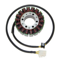 ElectroSport Stator ESG701 Lichtmaschine