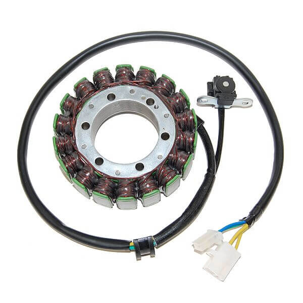 ElectroSport Stator ESG703 Lichtmaschine