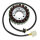 ElectroSport Stator ESG709 Lichtmaschine