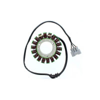 ElectroSport Stator ESG710 for alternator