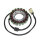 ElectroSport Stator ESG716 Lichtmaschine