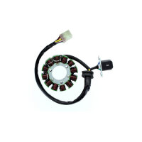 ElectroSport Stator ESG728 Lichtmaschine